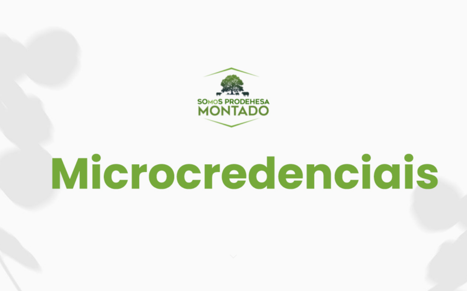 Microcredenciais SOSProdehesaMontado