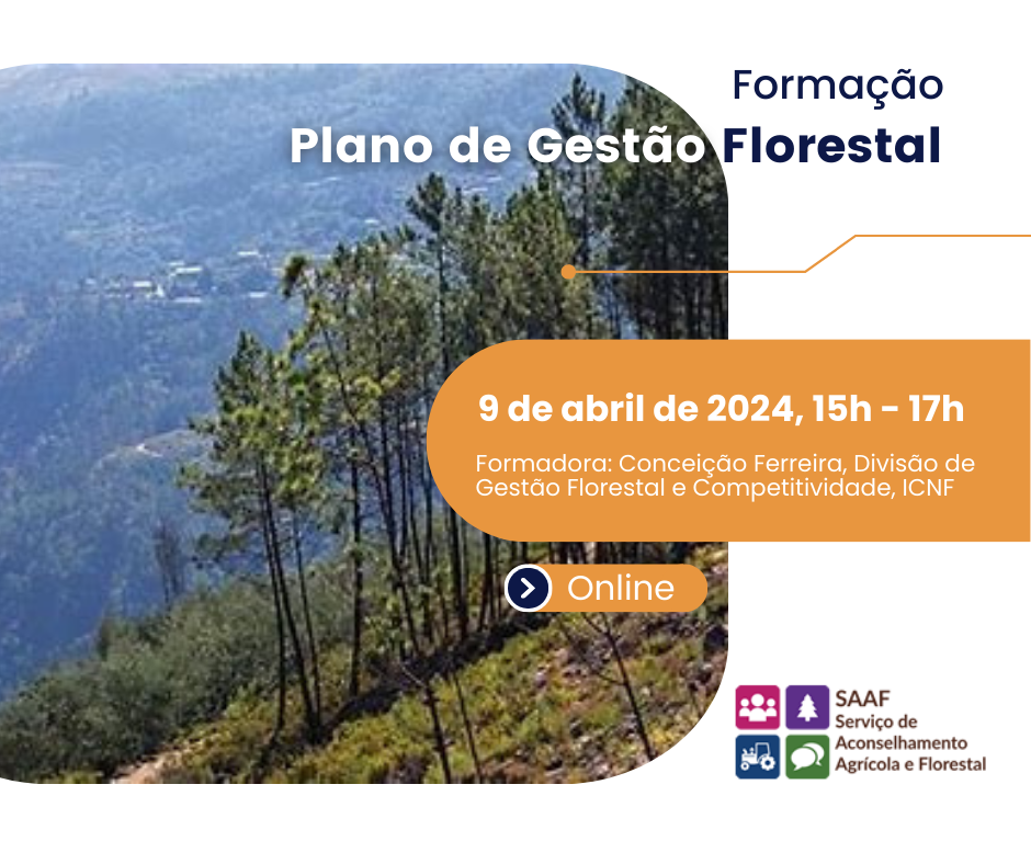 SAAF Gestão Florestal 1