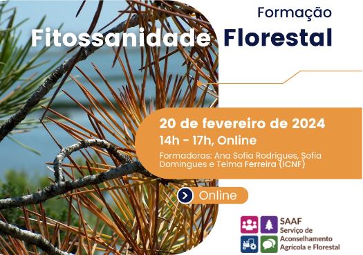 fitosanidade